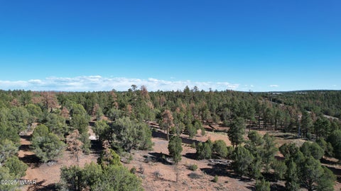 Tiny photo for TBD Parcel 309-27-014E, Show Low, AZ 85901 (MLS # 260983)