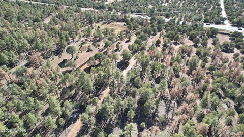 Tiny photo for TBD Parcel 309-27-014E, Show Low, AZ 85901 (MLS # 260983)