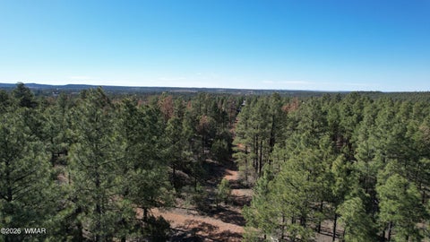 Tiny photo for TBD Parcel 309-27-014E, Show Low, AZ 85901 (MLS # 260983)