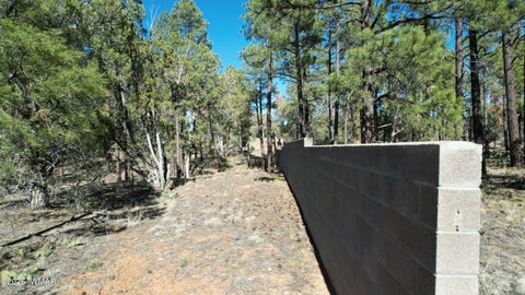Tiny photo for TBD Parcel 309-27-014E, Show Low, AZ 85901 (MLS # 260983)