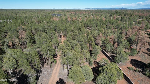 Tiny photo for TBD Parcel 309-27-014E, Show Low, AZ 85901 (MLS # 260983)