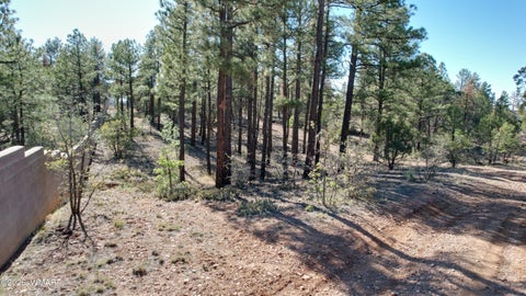 Tiny photo for TBD Parcel 309-27-014E, Show Low, AZ 85901 (MLS # 260983)