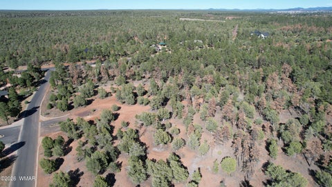 Tiny photo for TBD Parcel 309-27-014E, Show Low, AZ 85901 (MLS # 260983)