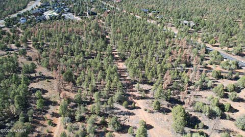 Tiny photo for TBD Parcel 309-27-014E, Show Low, AZ 85901 (MLS # 260983)