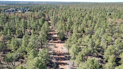 Tiny photo for TBD Parcel 309-27-014E, Show Low, AZ 85901 (MLS # 260983)