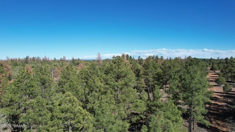 Tiny photo for TBD Parcel 309-27-014E, Show Low, AZ 85901 (MLS # 260983)
