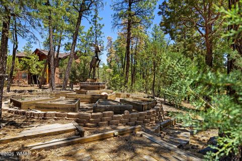 Tiny photo for 1801 S Knoll Trail, Show Low, AZ 85901 (MLS # 261283)