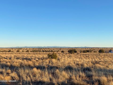Tiny photo for Lot 7 Snowflake Ranches, Snowflake, AZ 85937 (MLS # 252732)