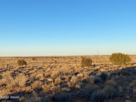 Tiny photo for Lot 7 Snowflake Ranches, Snowflake, AZ 85937 (MLS # 252732)