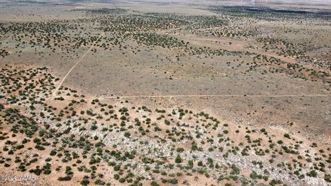 Tiny photo for Lot 7 Snowflake Ranches, Snowflake, AZ 85937 (MLS # 252732)