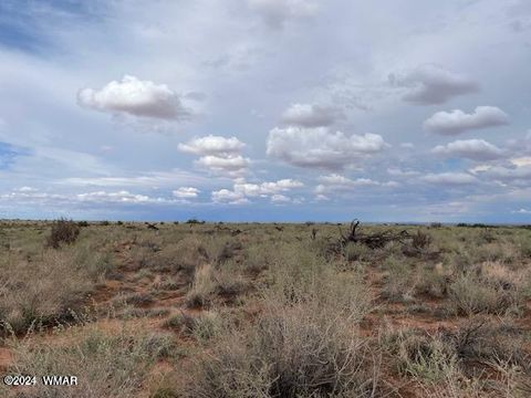 Tiny photo for Lot 7 Snowflake Ranches, Snowflake, AZ 85937 (MLS # 252732)