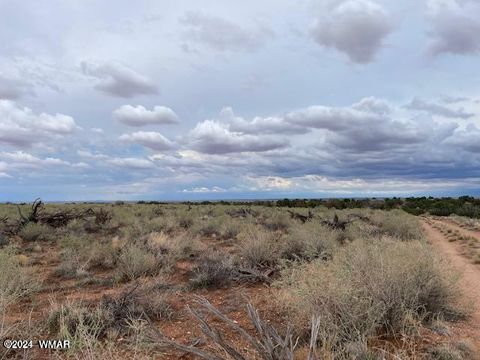 Tiny photo for Lot 7 Snowflake Ranches, Snowflake, AZ 85937 (MLS # 252732)