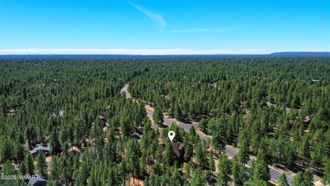 Tiny photo for 4621 Lariat Way, Happy Jack, AZ 86024 (MLS # 263112)
