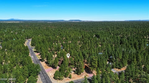 Tiny photo for 4621 Lariat Way, Happy Jack, AZ 86024 (MLS # 263112)