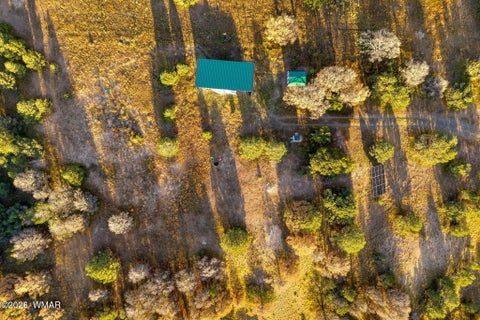 Tiny photo for 29 N2317, Nutrioso, AZ 85932 (MLS # 263463)