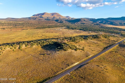 Tiny photo for 29 N2317, Nutrioso, AZ 85932 (MLS # 263463)