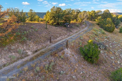 Tiny photo for 29 N2317, Nutrioso, AZ 85932 (MLS # 263463)