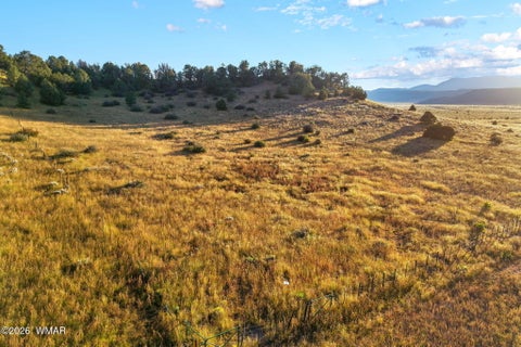 Tiny photo for 29 N2317, Nutrioso, AZ 85932 (MLS # 263463)