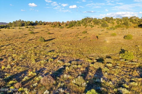 Tiny photo for 29 N2317, Nutrioso, AZ 85932 (MLS # 263463)
