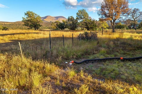 Tiny photo for 29 N2317, Nutrioso, AZ 85932 (MLS # 263463)