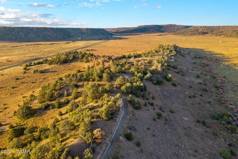 Tiny photo for 29 N2317, Nutrioso, AZ 85932 (MLS # 263463)