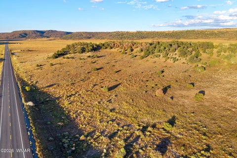 Tiny photo for 29 N2317, Nutrioso, AZ 85932 (MLS # 263463)