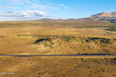 Tiny photo for 29 N2317, Nutrioso, AZ 85932 (MLS # 263463)