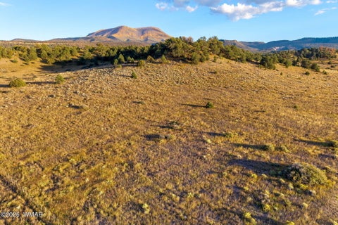 Tiny photo for 29 N2317, Nutrioso, AZ 85932 (MLS # 263463)