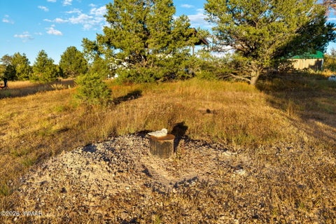 Tiny photo for 29 N2317, Nutrioso, AZ 85932 (MLS # 263463)