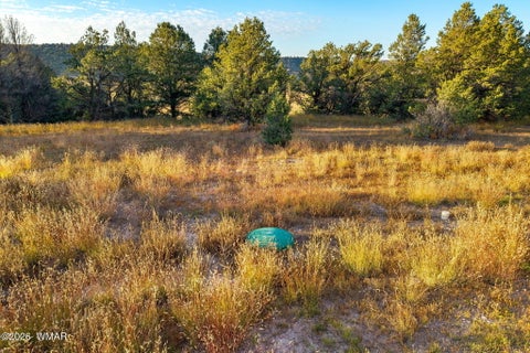 Tiny photo for 29 N2317, Nutrioso, AZ 85932 (MLS # 263463)