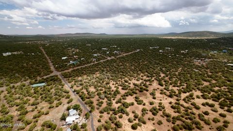 Tiny photo for TBD CR 3076-C, Vernon, AZ 85940 (MLS # 257681)