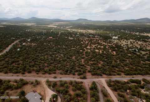 Tiny photo for TBD CR 3076-C, Vernon, AZ 85940 (MLS # 257681)