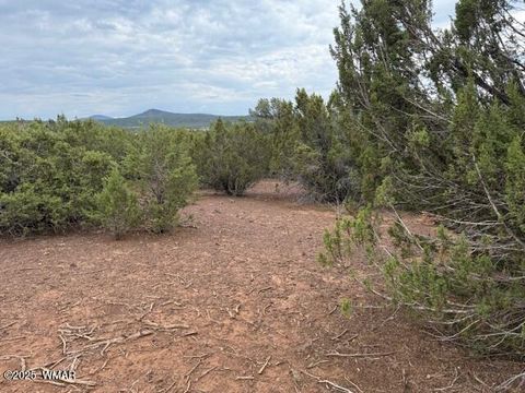 Tiny photo for TBD CR 3076-C, Vernon, AZ 85940 (MLS # 257681)