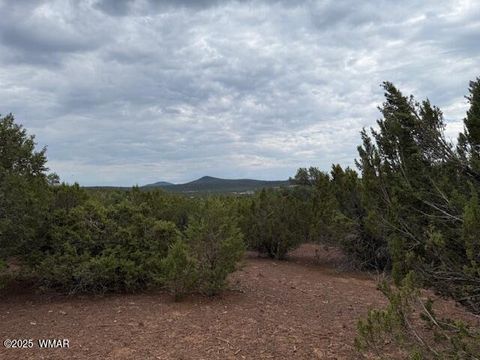 Tiny photo for TBD CR 3076-C, Vernon, AZ 85940 (MLS # 257681)