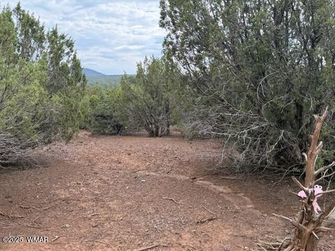 Tiny photo for TBD CR 3076-C, Vernon, AZ 85940 (MLS # 257681)