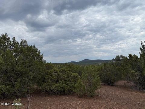 Tiny photo for TBD CR 3076-C, Vernon, AZ 85940 (MLS # 257681)