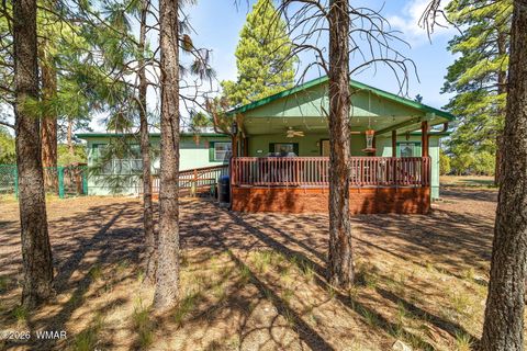 Photo of 2908 Pine Rim Road, Overgaard, AZ 85933 (MLS # 260823)