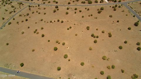 Tiny photo for 7687/7693 Arroyo Plata Drive, Show Low, AZ 85901 (MLS # 248667)