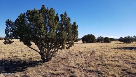 Tiny photo for 7687/7693 Arroyo Plata Drive, Show Low, AZ 85901 (MLS # 248667)