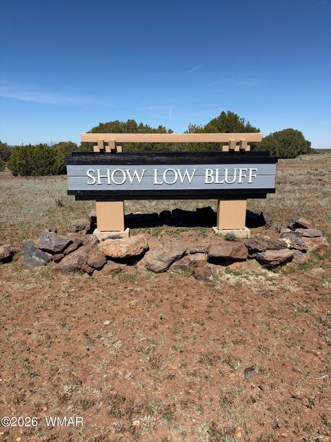 Tiny photo for 1041 S Ridgeline Drive, Show Low, AZ 85901 (MLS # 260209)