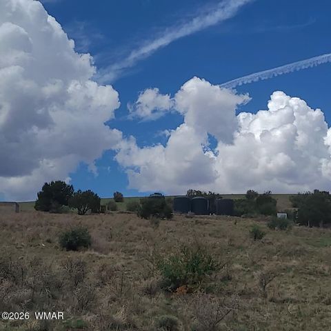 Tiny photo for 3 County Road N3365, Vernon, AZ 85940 (MLS # 259641)