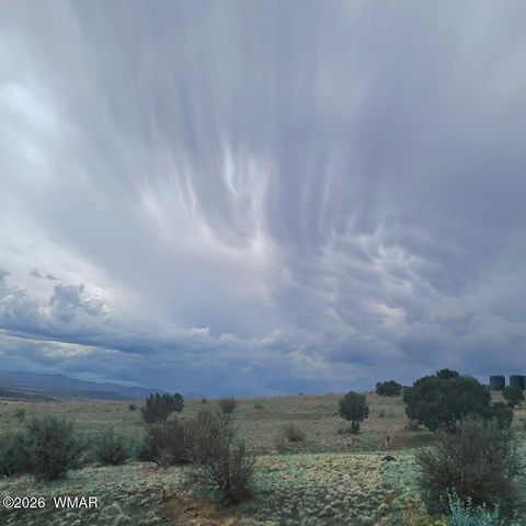 Tiny photo for 3 County Road N3365, Vernon, AZ 85940 (MLS # 259641)