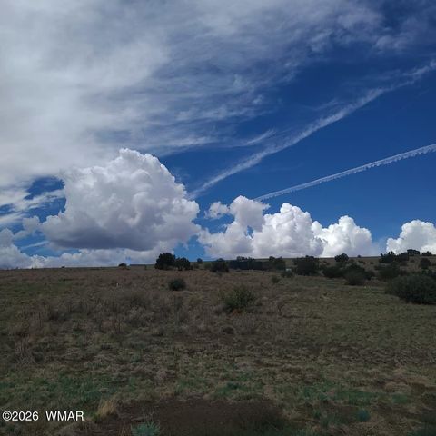 Tiny photo for 3 County Road N3365, Vernon, AZ 85940 (MLS # 259641)