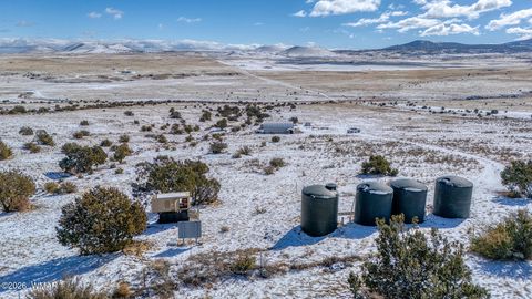 Tiny photo for 3 County Road N3365, Vernon, AZ 85940 (MLS # 259641)