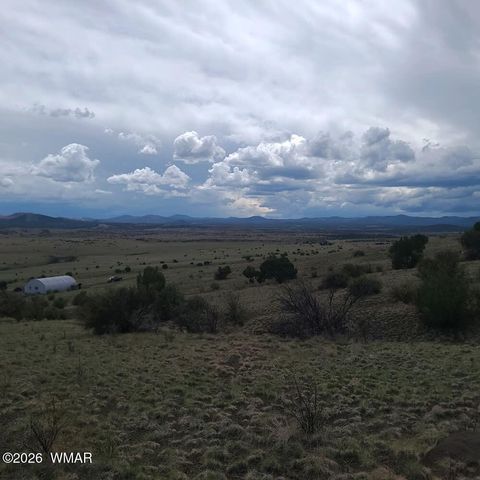 Tiny photo for 3 County Road N3365, Vernon, AZ 85940 (MLS # 259641)