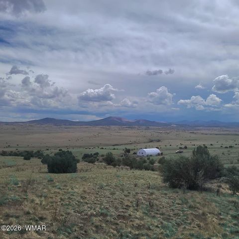 Tiny photo for 3 County Road N3365, Vernon, AZ 85940 (MLS # 259641)
