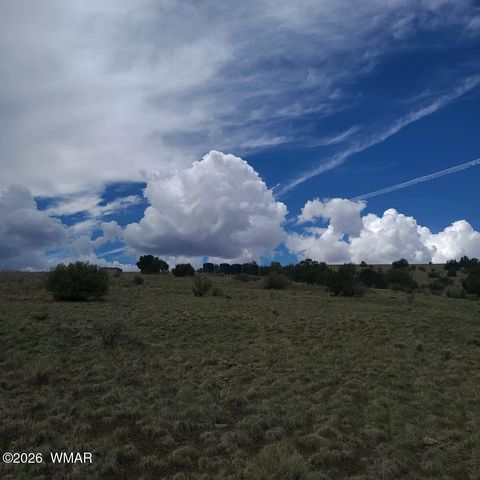 Tiny photo for 3 County Road N3365, Vernon, AZ 85940 (MLS # 259641)