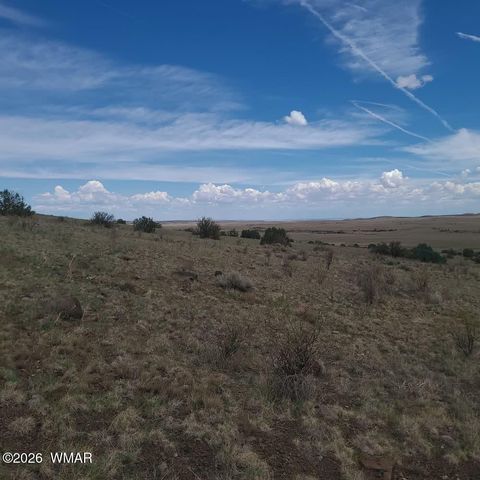 Tiny photo for 3 County Road N3365, Vernon, AZ 85940 (MLS # 259641)