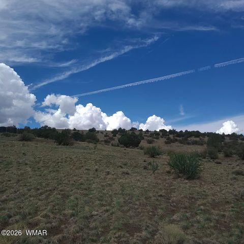 Tiny photo for 3 County Road N3365, Vernon, AZ 85940 (MLS # 259641)