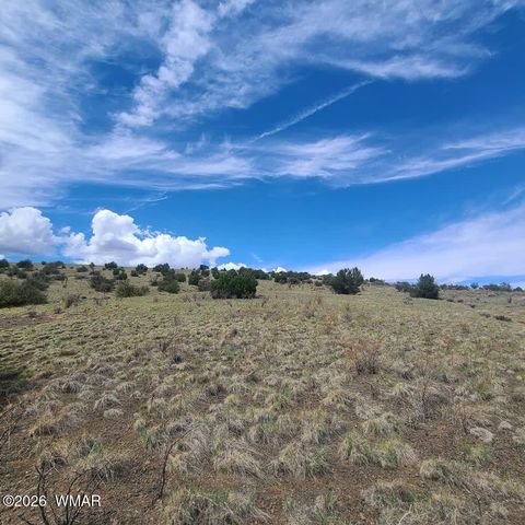 Tiny photo for 3 County Road N3365, Vernon, AZ 85940 (MLS # 259641)